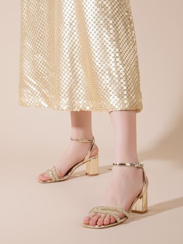 Image of Shoe'N Tale Strappy Heels for Women Square Toe Chunky Block Heels Ankle Buckle Heeled Sandals