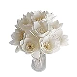 10 Lily 2" Sola Flower Reed Diffuser for Home Fragrance by Plawanature.