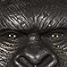 InSpirit Designs Godzilla vs. Kong Kids King Kong Mask | Officially Licensed | Theatrical Accessory