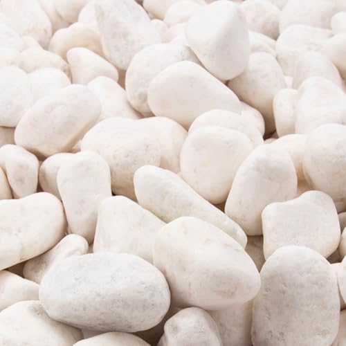 Image of 18 Pounds Decorative Pebbles, White Stones, White River Rock, Natural Aquarium Gravel, Garden Decor Rocks