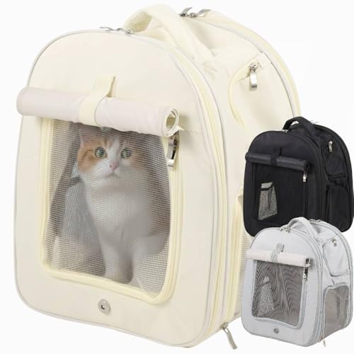 iimono117 g  L bN L[obO ybg _ut@Xi[ L L[ ybg bVH ^ ^L  o ֗ ʉ@  U ړp (AC{[)