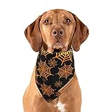 Realeaf Halloween Dog Bandanas 2 Pack, Pumpkin and Spider Web Bibs, Triangle Reversible Fall Pet Scarf, Premium Durable Fabric, Adjustable Fit (Small) Realeaf Halloween Dog Bandanas 2 Pack, Pumpkin and Spider Web Bibs, Triangle Reversible Fall Pet Scarf, Premium Durable Fabric, Adjustable Fit (Small)