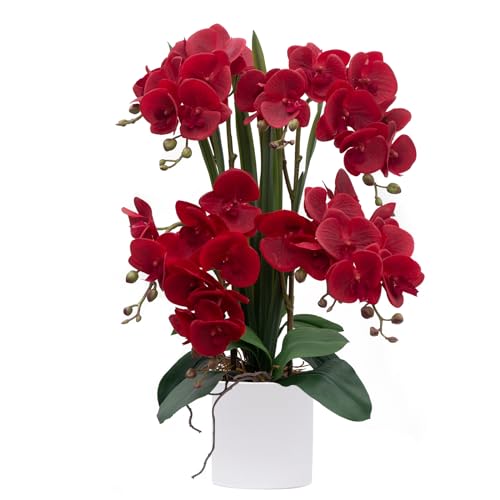 CXGS Artificial Orchid Flower Plants Real Touch Faux Orchids in Ceramic Vase 20.9'' Red Phalaenopsis Orchid Fake Flower Arrangement Home Indoor Decor