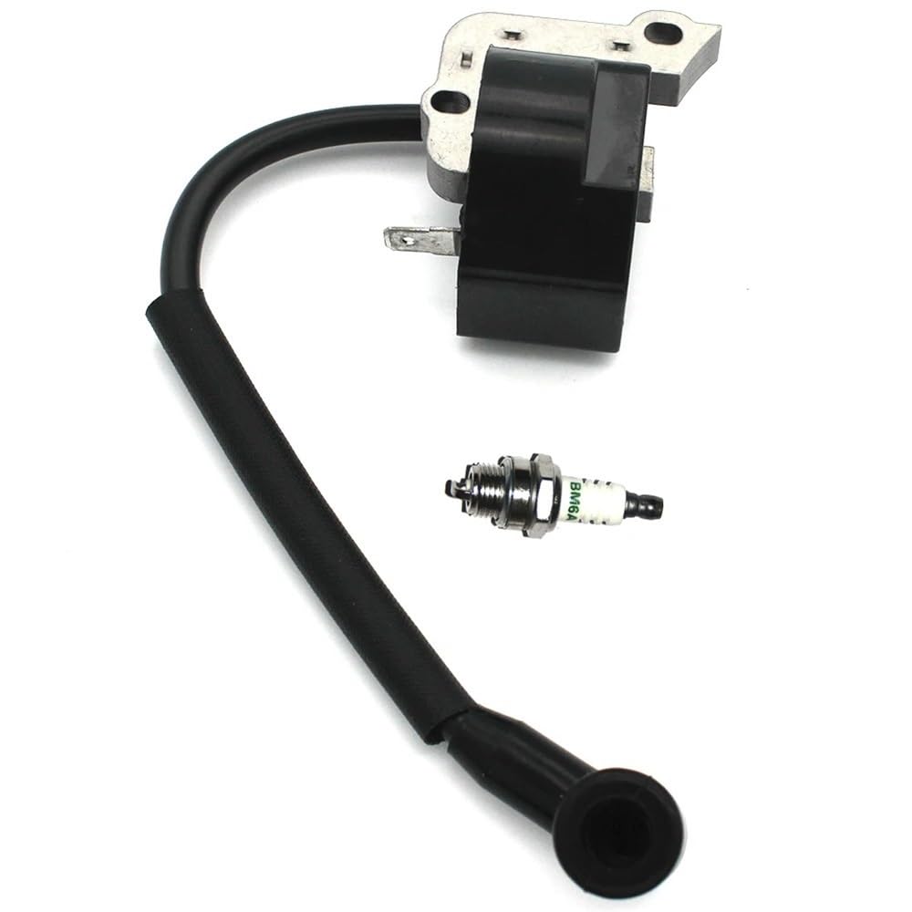 Module bobine d'allumage 4229 400 1300 avec bougie pour BG45 BG55 BG65 BG85
