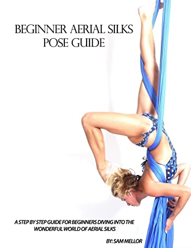 Beginner Aerial Silks Pose Guide (The Aerial Attitude)