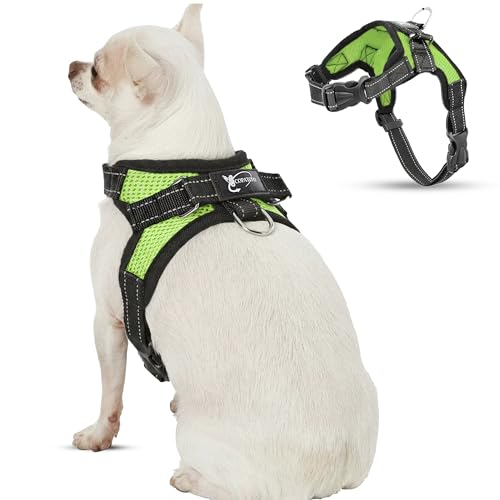 Copatchy No Pull Reflective Adjustable Dog Harness with Handle- Comfortable Soft All Weather Mesh, Easy On Puppy Harness for Small Medium and Large Dogs (Green) X-Small