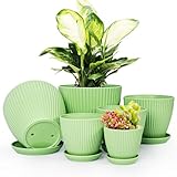 Vodotion - Plant Pots Indoor with Saucers & Drainage - 6 Pack Flower Pots - Plastic Planters for Indoor Planter - 7.5/6.6/5.8/5.0/4.3/3.5 inches Sizes for All Different Types of Plants-Light Green