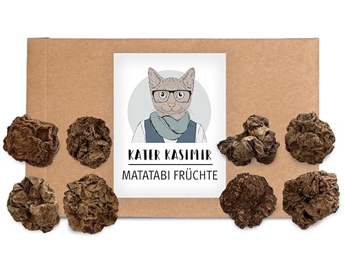 Kater Kasimir Getrocknete Matatabi Früchte als Katzenspielzeug für Katzen (intensiver als getrocknete Katzenminze und Matatabi-Sticks)