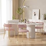 HAIZAO Boucle Dining Chairs Set of 4, Modern Round Upholstered Dining Chairs, Curved Backrest Kitchen Dining Room Chairs, Mid-Century Pink Dining Chair with Golden Metal Legs