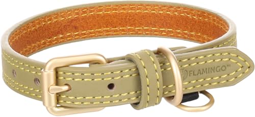 Collier Chien – Virginia Vert S | 24-30cm x 15mm x 4mm, Cuir, Boucle dorée