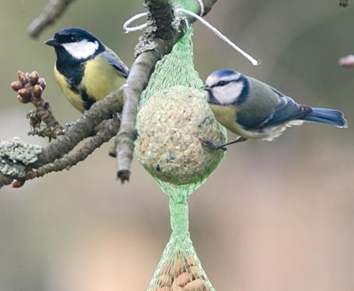 Erdtmanns 12 Mixketten für Wildvögel – je 8-teilig mit Meisenknödeln, Erdnüssen & Sonnenblumenkernen – energiereiches Vogelfutter für Garten & Balkon – Ganzjahresfutter zum Aufhängen
