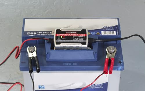 Erhaltungsladegerät Dino Kraftpaket 750mAh für 6V und 12V Batterien