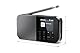 SHARP DR-P520(GY) Tragbares Digitalradio (DAB/DAB+/FM mit RDS, USB, Bluetooth 5.3) Speicher für 120 Sender, 3,5mm Klinke, Wecker-Funktion, Grau/Schwarz