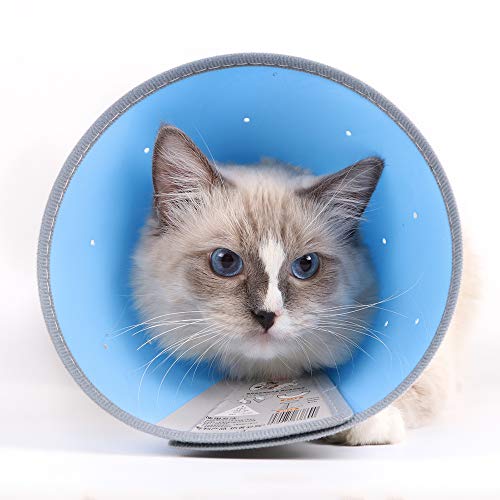 Cat Cones After Surgery Recovery Soft-Rim Comfy Plastic Pet E-Collar for Cat Small Dog Rabbit Breathe Adjustable Kitty Pup Elizabeth Cone Collar Anti-Lick Wound Heal (Blue M Neck Girth: 7.08''~9.05'')