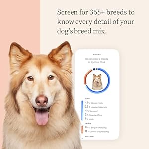 Wisdom Health Panel Premium Dog DNA Kit: Most Comprehensive with 265+ Health Tests, Identify 365+ Dog Breeds, 50+ Traits, Relatives, Ancestry, Genetic Diversity - Pack of 1 Wisdom Health Panel Premium Dog DNA Kit Most Comprehensive with 265 Health Tests Identify 365 Dog Breeds 50 Traits Relatives Ancestry Genetic Diversity Pack of 1