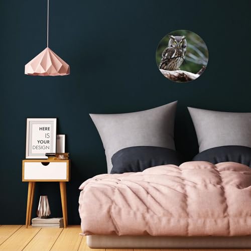 Pendule murale design avec illustration de hibou mecanisme quartz silencieux