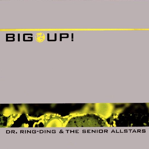 Big Up [Audio CD] Dr Ring Ding