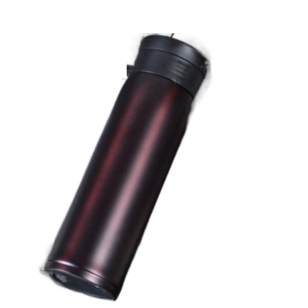 Borraccia Isolare La Bottiglia d'Acqua Thermos in Acciaio Inossidabile Bottiglia d'Acqua Thermos da Viaggio Portatile per Auto Water Bottle(Bruin)