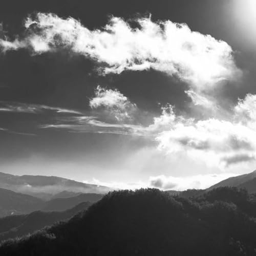 Yitmuu Digital Book Shelf cover art