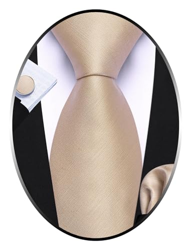 Barry.Wang Champagne Tie Sets Plain Men Silk Ties Extra Long Satin Necktie Wedding Business...