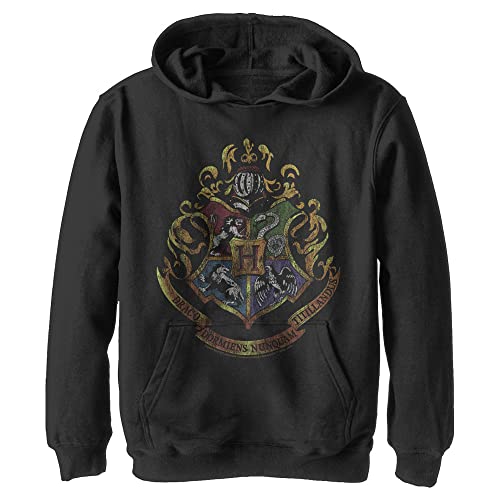 Harry Potter Deathly Hallows Dark Vintage Crest Kids Hoodie, black, XL