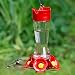 Perky-Pet Favored Pinch-Waist Glass Hummingbird Feeder with Built-in Ant Moat and Bee Guards - 16 oz Capacity - 204CP-4