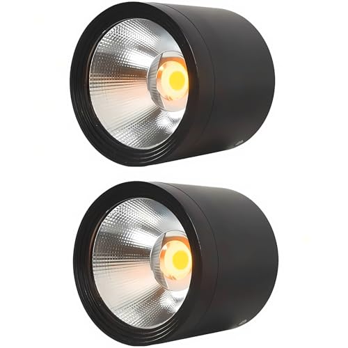 MEGHALI 2-Pack Outdoor Ceiling Light, LED Ceiling Spotlight 18W, Modern Waterproof Flush Mount Downlight, Black Aluminum Exterior Ceiling Lights for Patio Balcony, Warm Light 3000K