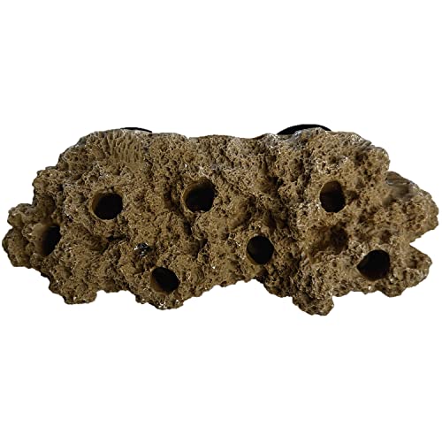 Reefing Art Magnetic Reef Rock Frag Rack Floating Rock Strong Magnets for 1/5.1 cm Glass (Brown)