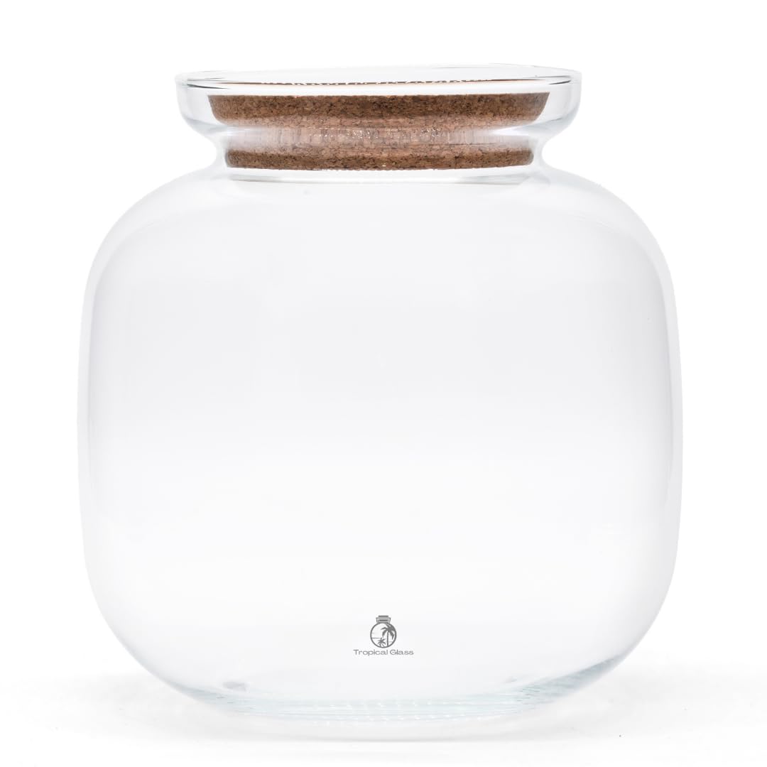 Hand-Blown Closed Terrarium Glass Container with Cork Lid - 25 cm Height, 25 cm Diameter - Elegant, Clear Glass Design for Miniature Ecosystems (with Standard Lid)