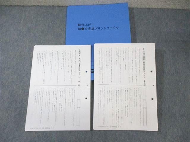 SS特訓 冬期講習 正月特訓　語彙力完成プリント　サピックス　❴非売品❵ SAPIX サピックス SS特訓/冬期講習/正月特訓 国語 語彙力完成