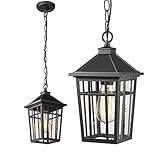 Darkaway Outdoor Pendant Light Fixture, Outdoor Hanging Light Porch Lights Fixtures Anti-Rust Waterp