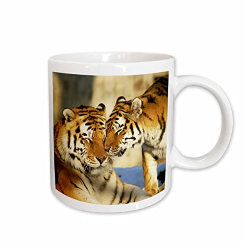 3dRose Image of Tigers 11oz Mug