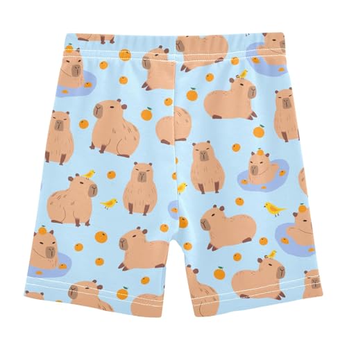 Cute Capybara with Birds Blue Girls Shorts Elastic Waist Sports Shorts Girls Leggings Pants for 4-10 Years2