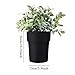 Small Safe – 10.24 Inches Hidden Flower Pot for Storage, Secret Compartment with Lid, Compact Security Box, Easy Concealed Protection, Safety Container Tool, Decorative Pot Accessory