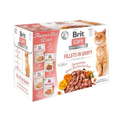 Brit Katzenfutter Huhn Lachs Türkei Ente 12 x 85g