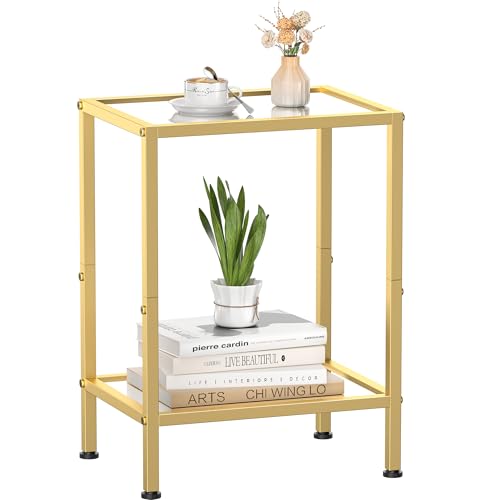 Glass Side Table Tempered Glass End Table 2-Tier Nightstands with Open Shelves Small Coffee Table with Modern Style Accent Table Small Table Sofa Table for Living Room Bedroom Gold