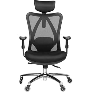 Duramont Ergonomic Office Chair – Adjustable Desk Chair with Lumbar Support and Rollerblade Wheels – High Back Chairs with Breathable Mesh – Thick Seat Cushion, Head, and Arm Rests – Reclines