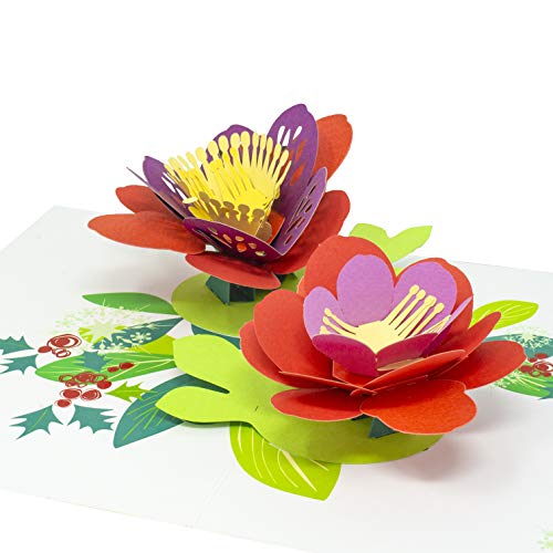 Paper Love Poinsettia Christmas Flower Pop Up Card, Handmade 3D Popup Greeting Cards for Christmas,  - //medicalbooks.filipinodoctors.org