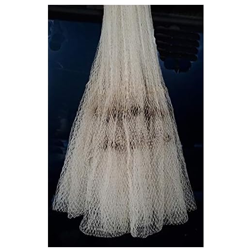 Das Departmental store Hand Throw Fishing Net/Jaal Casting Easy Fishing Bait Catch/Trap Netting Cast Mesh with Iron nut fit. (2.5, 1 x 1 Cm mesh (10 feet))
