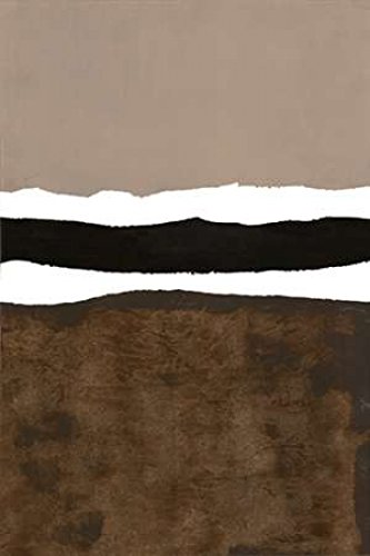 Posterazzi Brown Suede Poster Print by Sammy Sheler, (24 x 36)