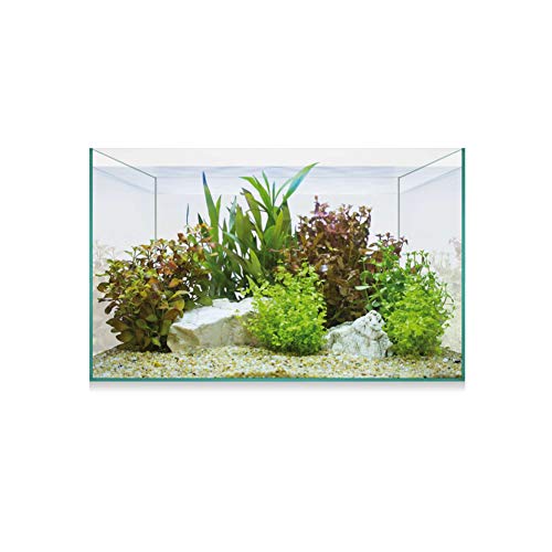 ICA AAQ8 Urna Aquascape Basic 8, 30 x 15 x 18 cm, 6,8 l, Ideale per Nano Acquari e Terrari