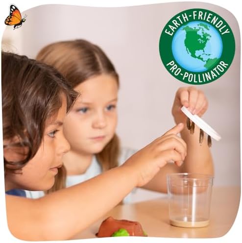 Insect Lore Two Cups of Caterpillars - Butterfly Garden Kit Refill – Raise and Release Painted Lady Butterflies – Includes Two Chrys-A-Lid Holding Logs and Instructions - 1