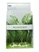 Fluval Chinodorus Plant for Aquarium, 11.5-Inch