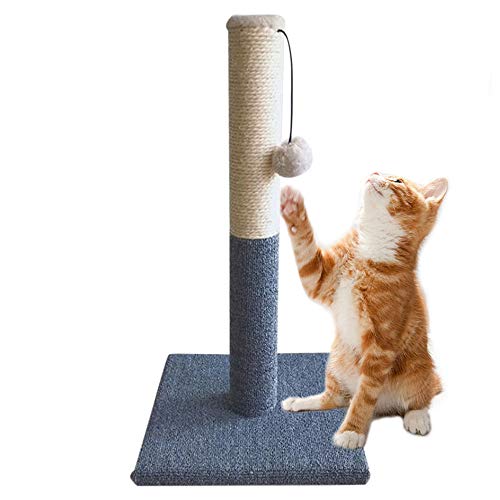 Barelove Tall Cat Scratching Post, Natural Sisal Rope Kitty Scratch Posts with Interactive Hanging Plush Ball Toy, Durable Cat Claw Scratcher Pole Tree Tower Heavy Base for Indoor Kittens Barelove Tall Cat Scratching Post, Natural Sisal Rope Kitty Scratch Posts with Interactive Hanging Plush Ball Toy, Durable Cat Claw Scratcher Pole Tree Tower Heavy Base for Indoor Kittens