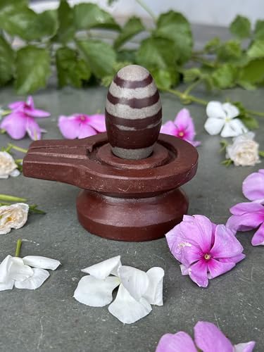 Image of Shivam VASTU AKAL 1.5 inch Original Narmadeshwar Narmada Shivling with 3 inch Narmada Stone Yoni Base Jaladhari (Janeudhari Shivling, Brown Damru Jaladhari)