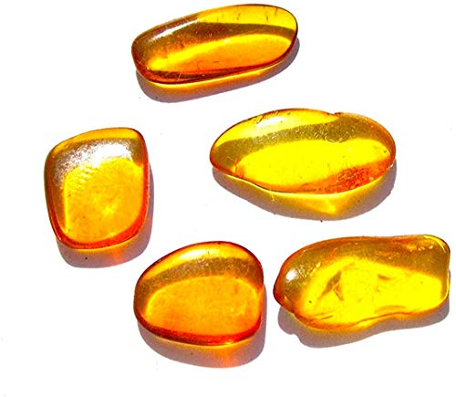 Ian and Valeri Co. Raw Amber Flat Gemstones Very Small Set of 5 Stones