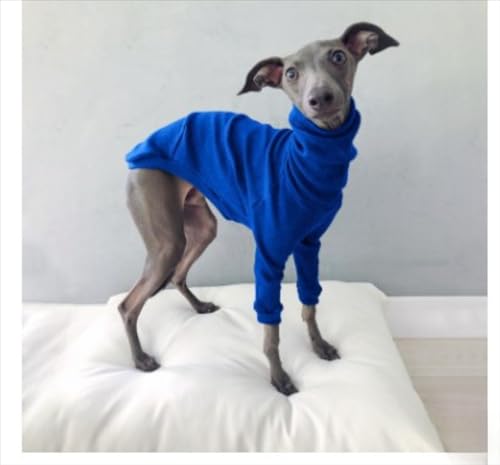 u  XgCv p[X C^O t[X ^[glbN g ybg hbOEFA pR[g p[J[ U AEghA _[NO[ n nClbN uf 2{r  ʗp^Cv K ybgEFA ^ Lk 