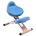 FHKBB Kniestuhl Ergonomisch mit Rückenstütze - Verstellbarer Bürostuhl Holzhocker, Linderung von Rücken- und Nackenschmerzen und Verbesserung der Körperhaltung, Blau