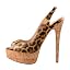 Leopard B