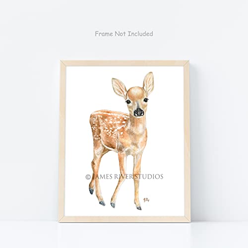 Woodland Animal Nursery Prints Unframed Set Of 4, Pick Your Baby Animals And Print Size, Original Watercolor Art Signed By Artist #TOP5